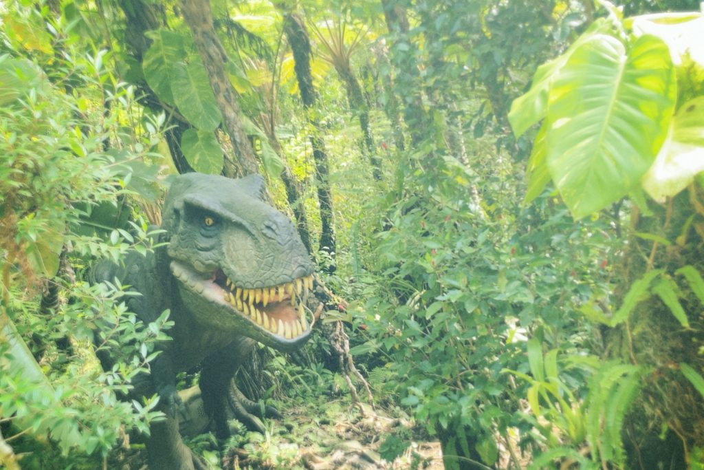 DINO恐竜PARK内の写真